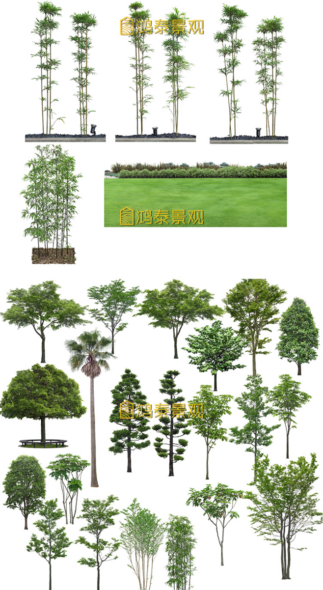 园林景观设计PSD分层树木花草植物立面图效果图PS后期绿化植物库