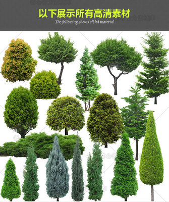 园林景观设计PSD模板树木植物近景花卉绿化效果图后期PS分层素材